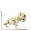1pc, Plastic Dog Skeleton Decorations Pug Skeleton Model Halloween Supplies Bone Ornaments Animal Model Dog Skeleton Party Ornaments Accessories