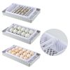 Egg Incubator