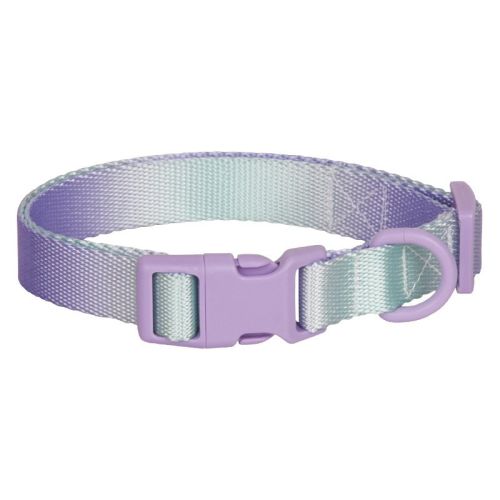 Large Anti-rust Gradient In Dog Collar